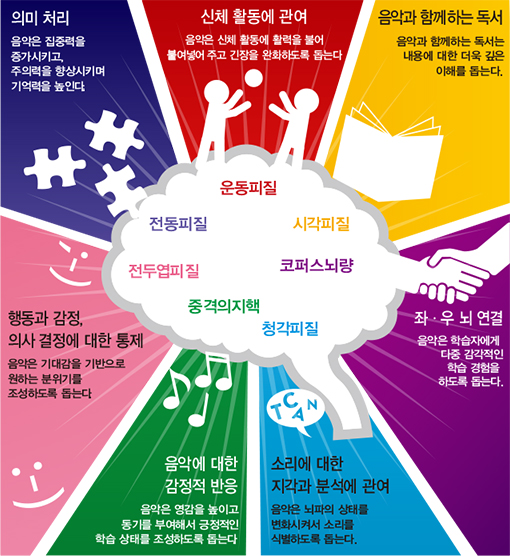 운동피질, 시각피질, 코퍼스뇌량, 청각피질, 중격의지핵, 전두엽피질, 전동피질